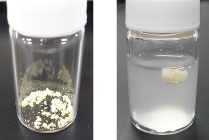 写真2. αリポ酸R体（原料粉末）（左）と人工胃液中でポリマー化した様子（右）