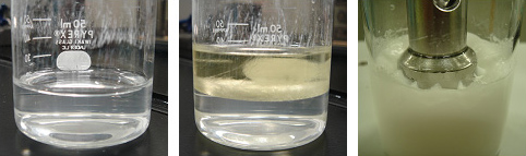 写真1. α-CDトリオレイン乳状液の作製
