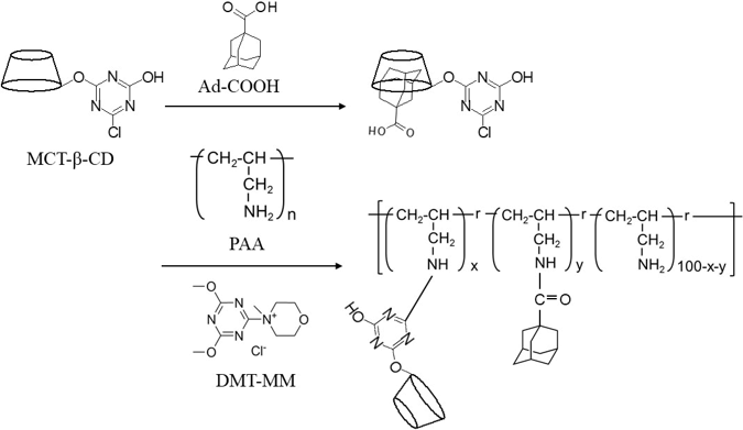 図1. MCT-β-CDとAd-COOHを有するPAAの合成