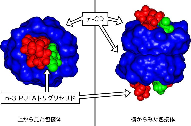 図2. n-3 PUFAトリグリセリドのγ-CD2分子包接による空気酸化に対する安定化
