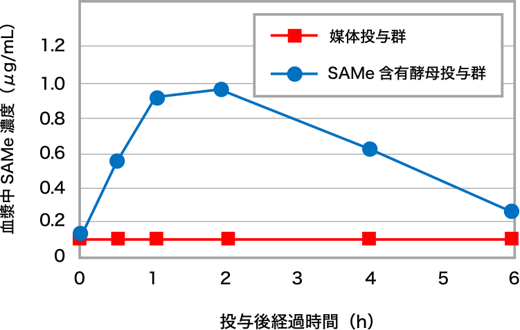 図3. ラットによるSAMeの吸収性試験