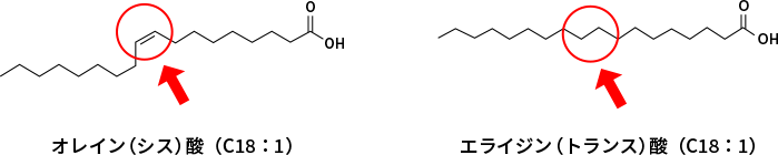 図1. 同じ一価不飽和脂肪酸のオレイン酸とエライジン酸の構造