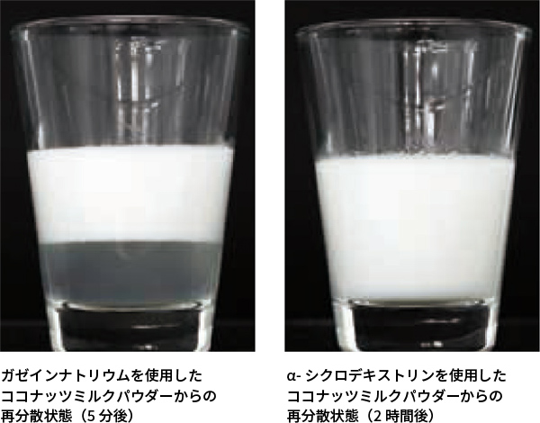 図2. ココナッツミルクパウダーの再分散状態（その1）
