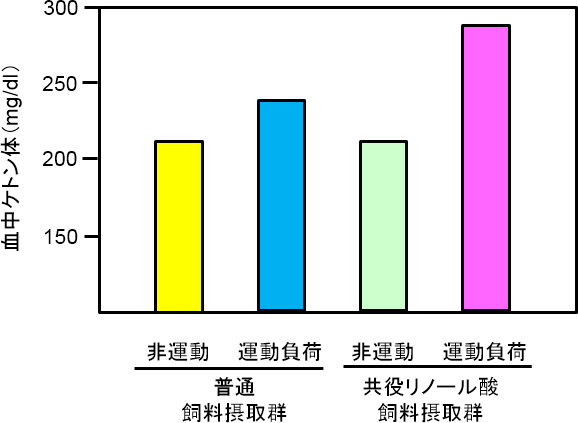 図3. 共役リノール酸摂取と運動負荷による血中ケトン体の上昇