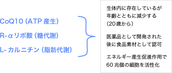 図3. エネルギー産生のための三大ヒトケミカルの共通点