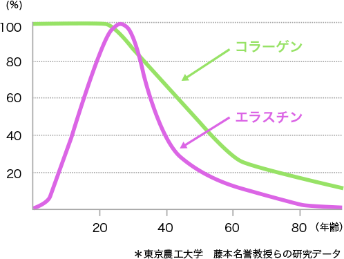 図4. 年齢によるコラーゲンとエラスチン生産量変化