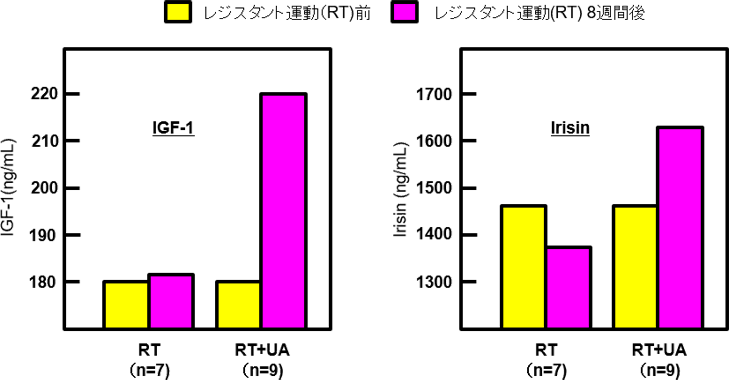 図5. レジスタント運動（RT）とウルソール酸（UA)摂取によるIGF‐1とIrisinの変化（Korean J Physiol Pharmacol 2014の論文から引用）