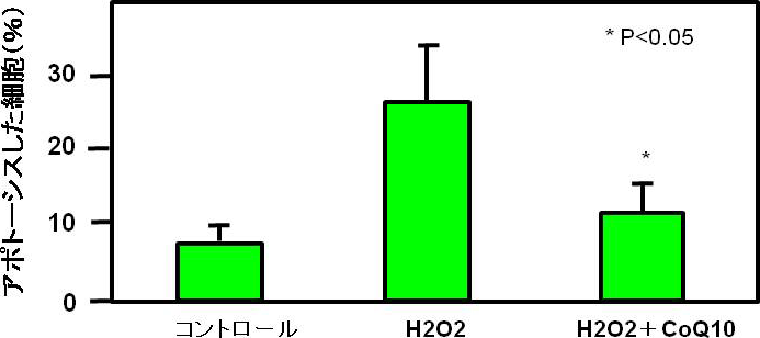 図2. 過酸化水素で誘発されたアポトーシス（細胞死）のCoQ10による抑制