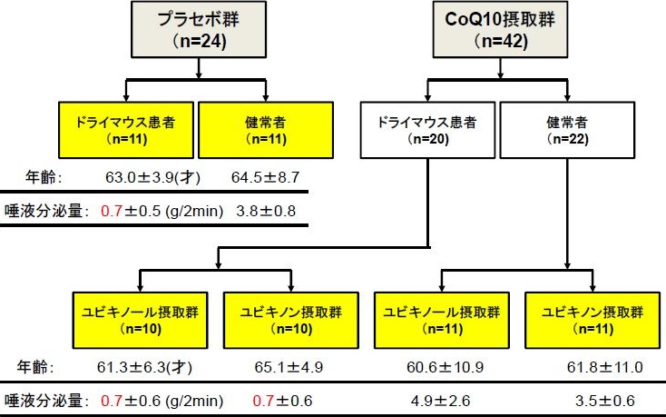 図2. グループ分けとそれぞれの平均年齢と唾液分泌量