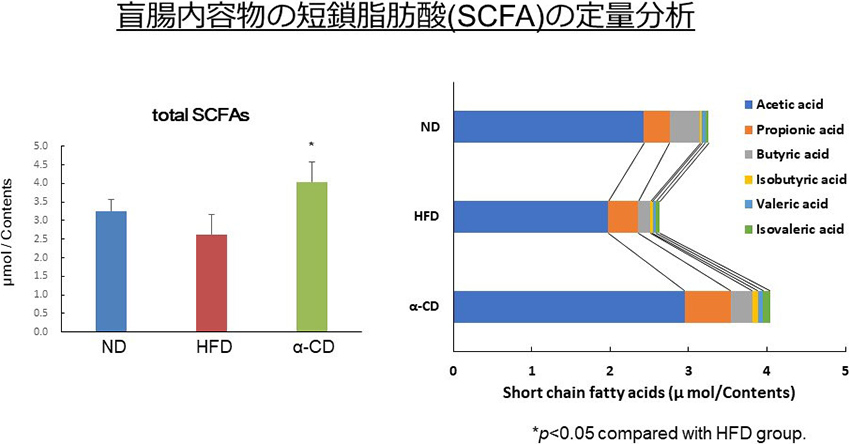 図5. 腸内の短鎖脂肪酸量に対するαオリゴ糖摂取の影響