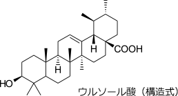 ウルソール酸（構造式）