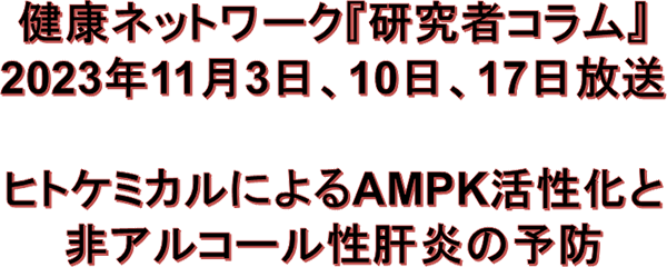 ヒトケミカルによるAMPK活性化と非アルコール性肝炎の予防