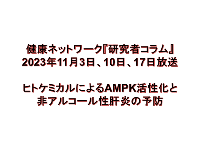 ヒトケミカルによるAMPK活性化と非アルコール性肝炎の予防